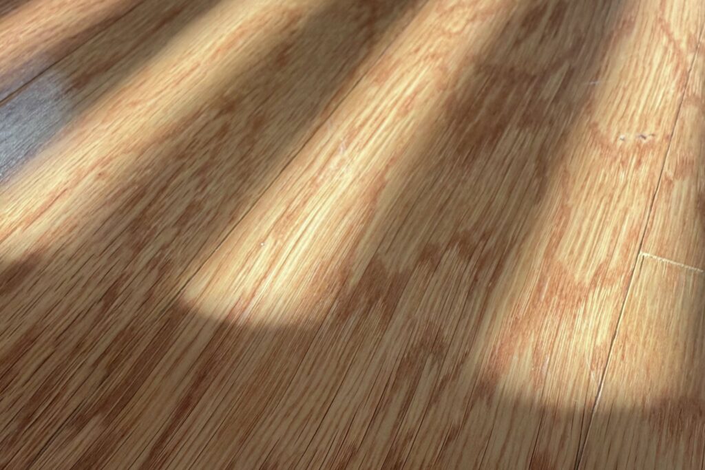 morning light casting shadows across a warm wooden flood