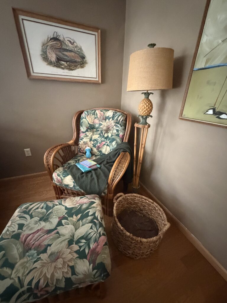 vintage furniture in a softly lit interior space