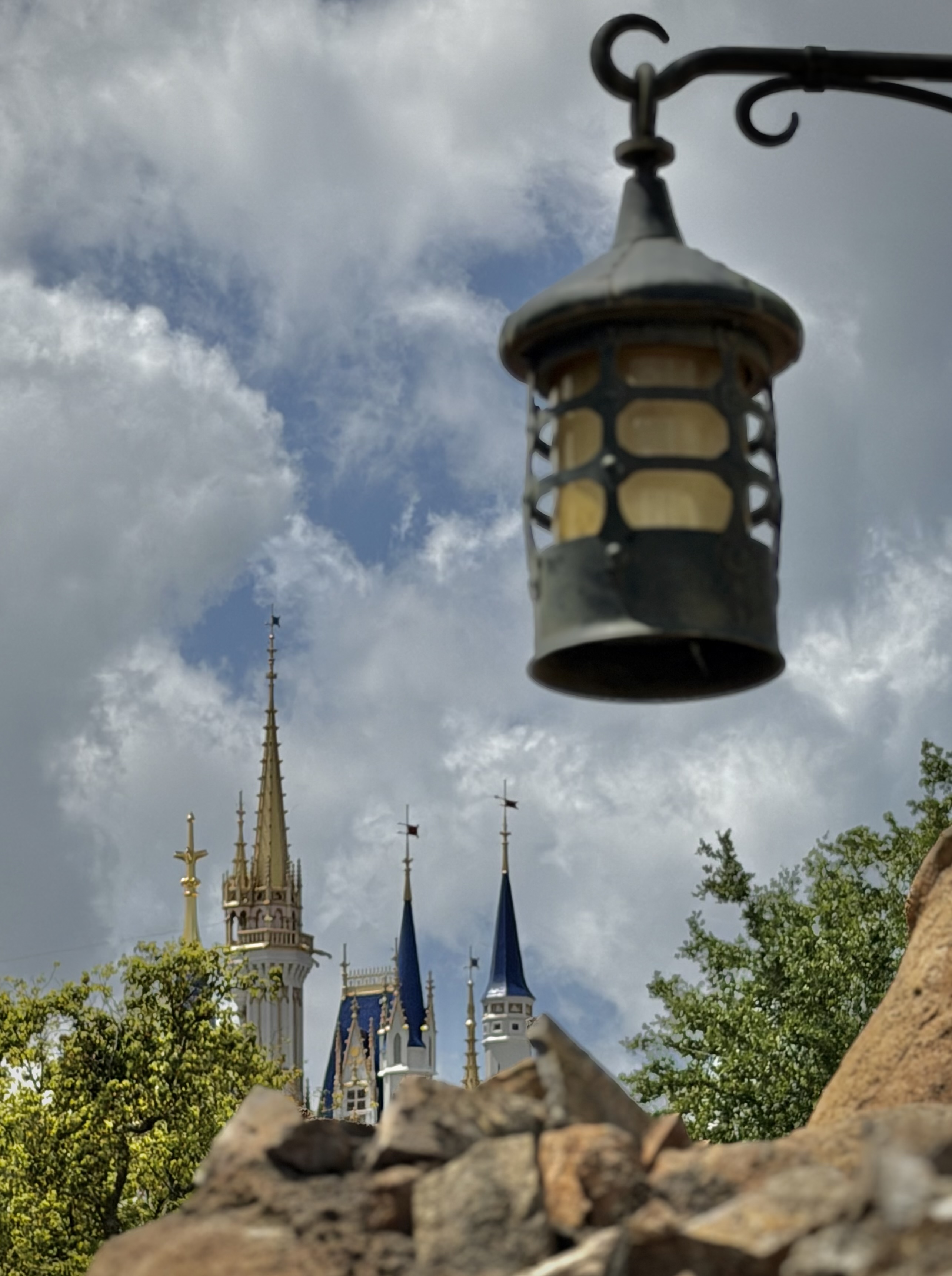 lantern hanging in tree with castle in the background at Disney